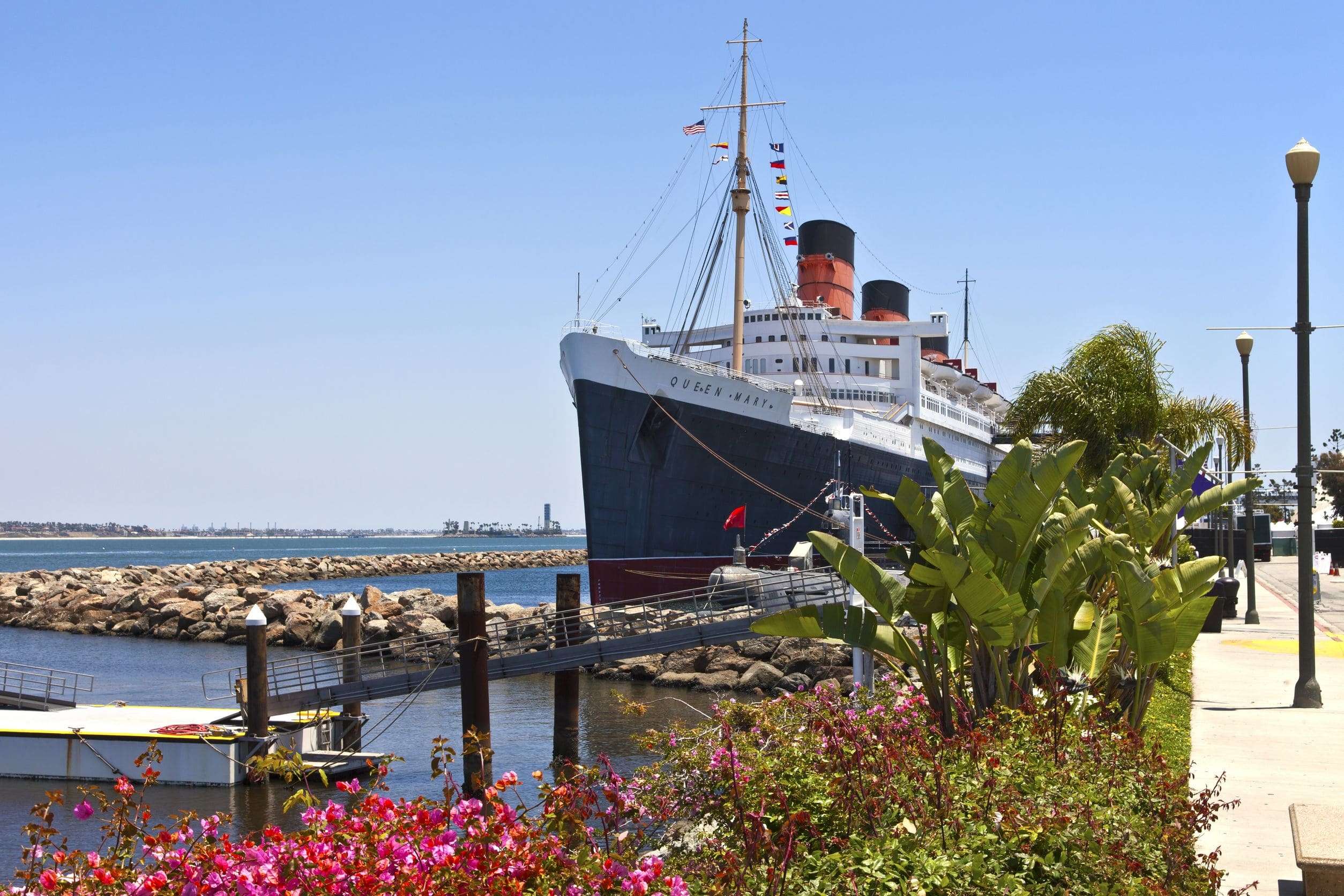 Ocean liner at the Port Tampa Bay terminal